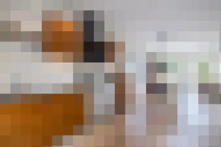 Bevrijdingslaan 25 Meppel thumbnail 12