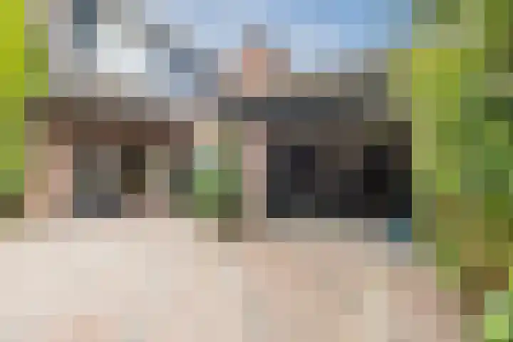 Bevrijdingslaan 25 Meppel thumbnail 31