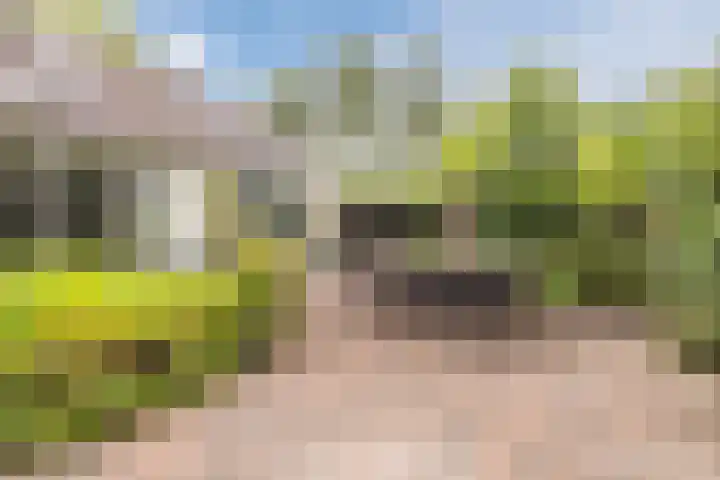 Bevrijdingslaan 25 Meppel thumbnail 32