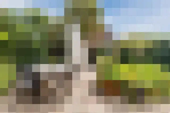 Bevrijdingslaan 25 Meppel thumbnail 33