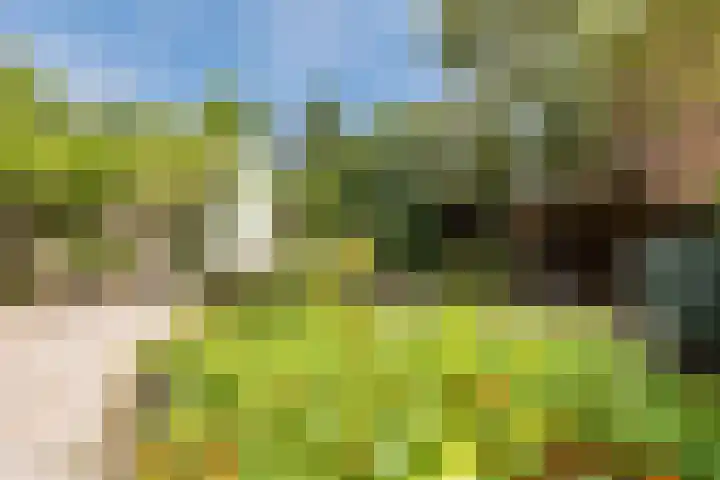 Bevrijdingslaan 25 Meppel thumbnail 34