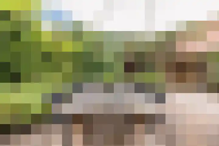 Bevrijdingslaan 25 Meppel thumbnail 35