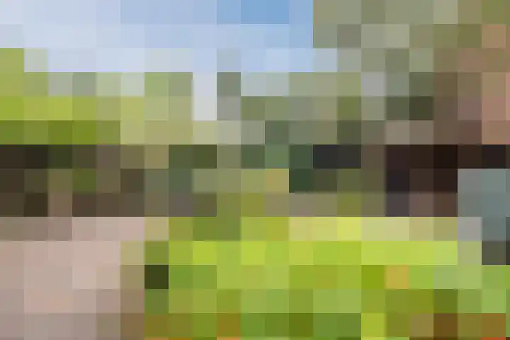 Bevrijdingslaan 25 Meppel thumbnail 36