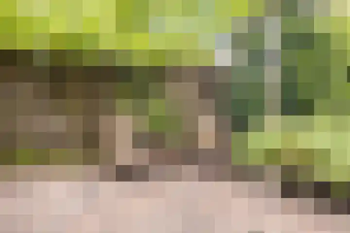 Bevrijdingslaan 25 Meppel thumbnail 37