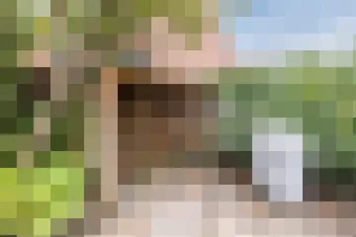Bevrijdingslaan 25 Meppel thumbnail 38