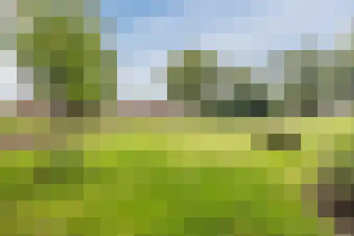 Bevrijdingslaan 25 Meppel thumbnail 39