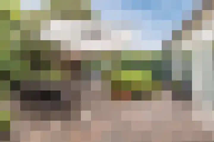 Bevrijdingslaan 25 Meppel thumbnail 4