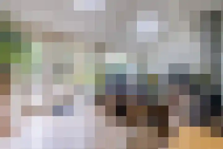 Bevrijdingslaan 25 Meppel thumbnail 5