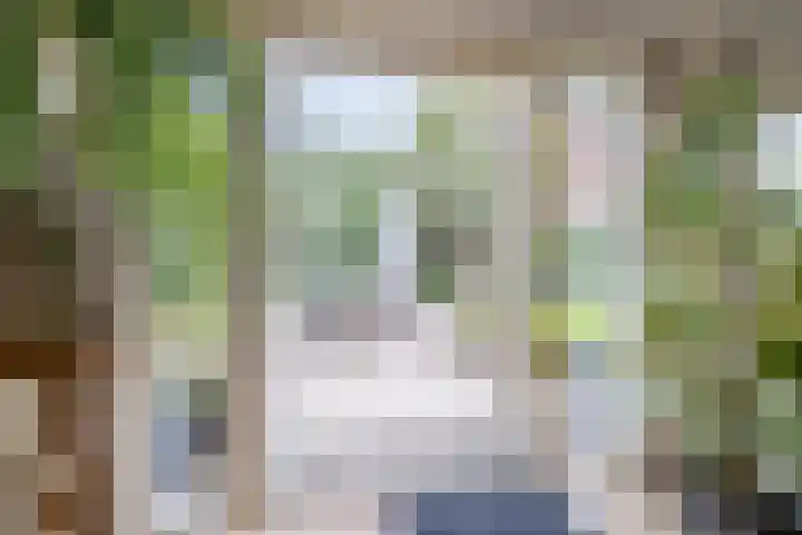 Bevrijdingslaan 25 Meppel thumbnail 6