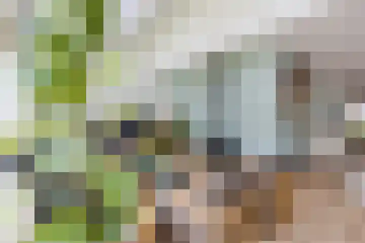 Bevrijdingslaan 25 Meppel thumbnail 8