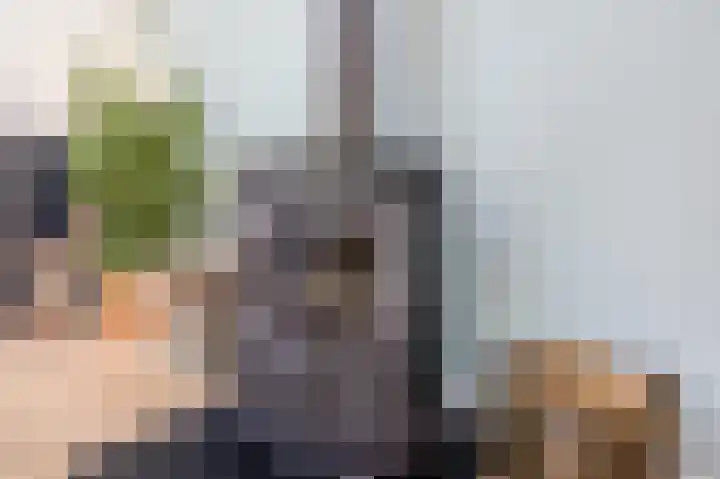 Bevrijdingslaan 25 Meppel thumbnail 9