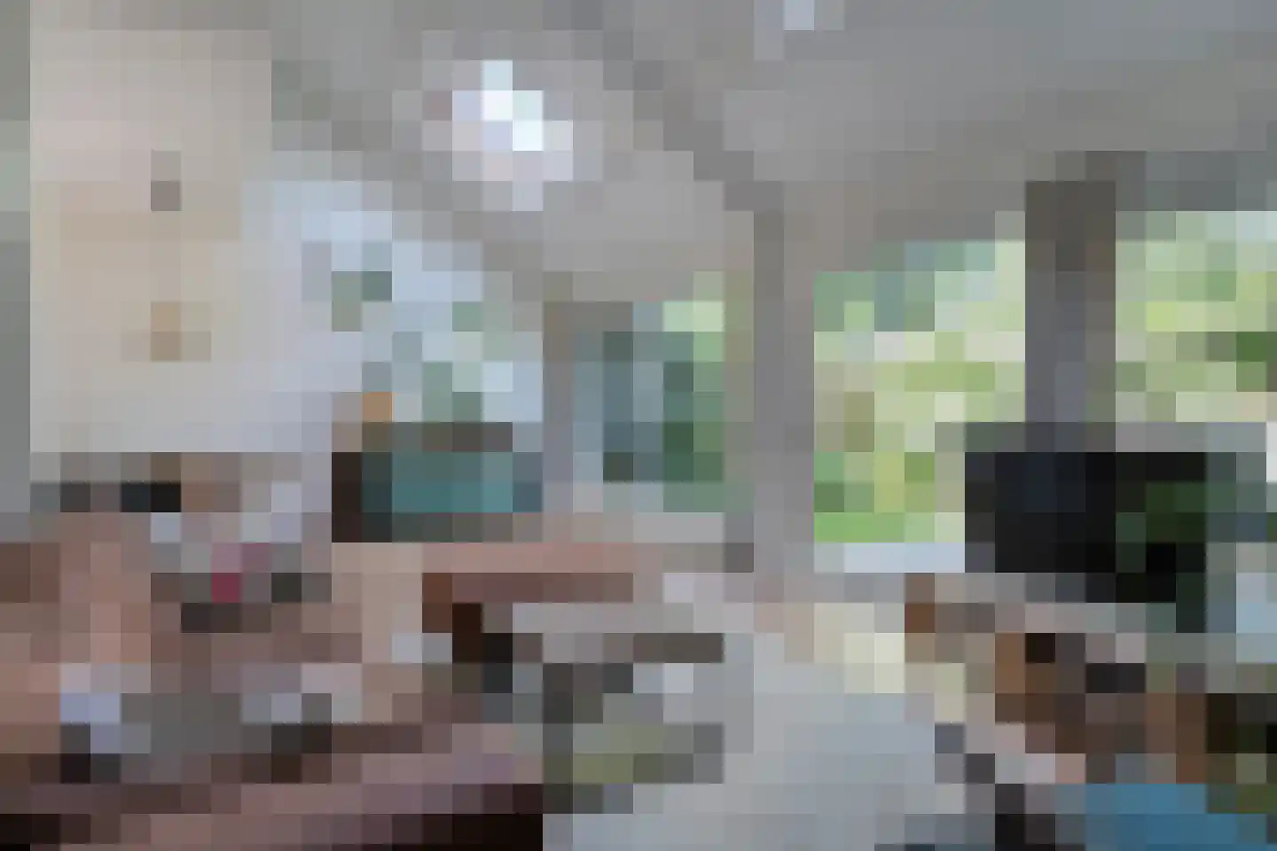 Bevrijdingslaan 4 Meppel thumbnail 15
