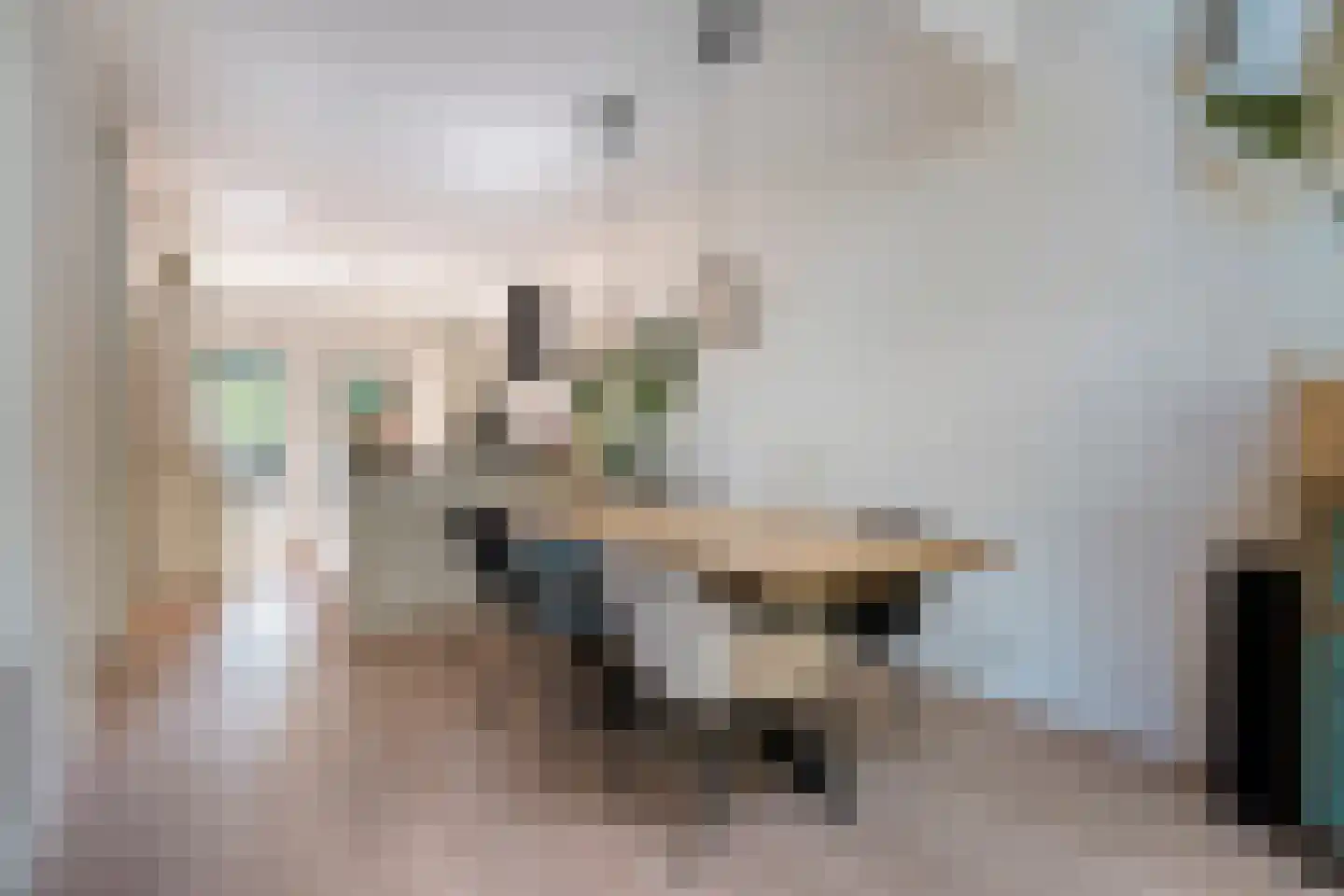 Bevrijdingslaan 4 Meppel thumbnail 16