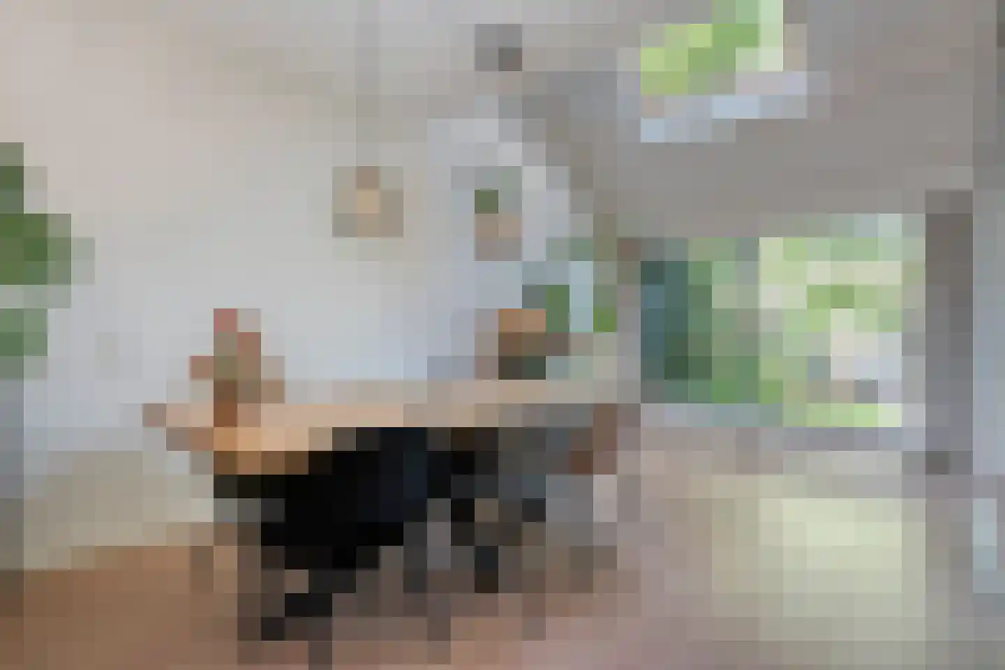 Bevrijdingslaan 4 Meppel thumbnail 17