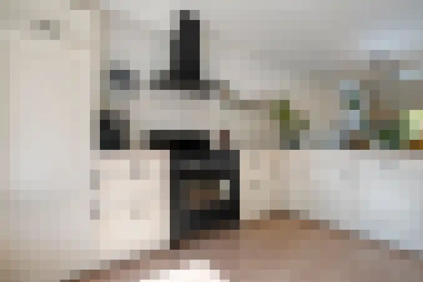 Bevrijdingslaan 4 Meppel thumbnail 22