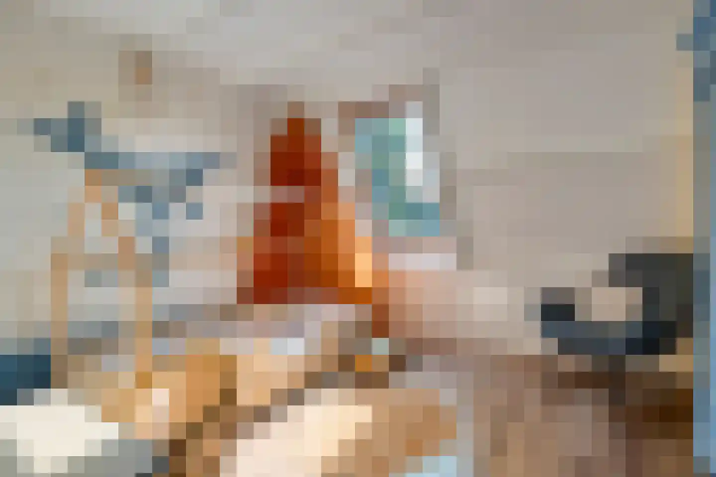 Bevrijdingslaan 4 Meppel thumbnail 25