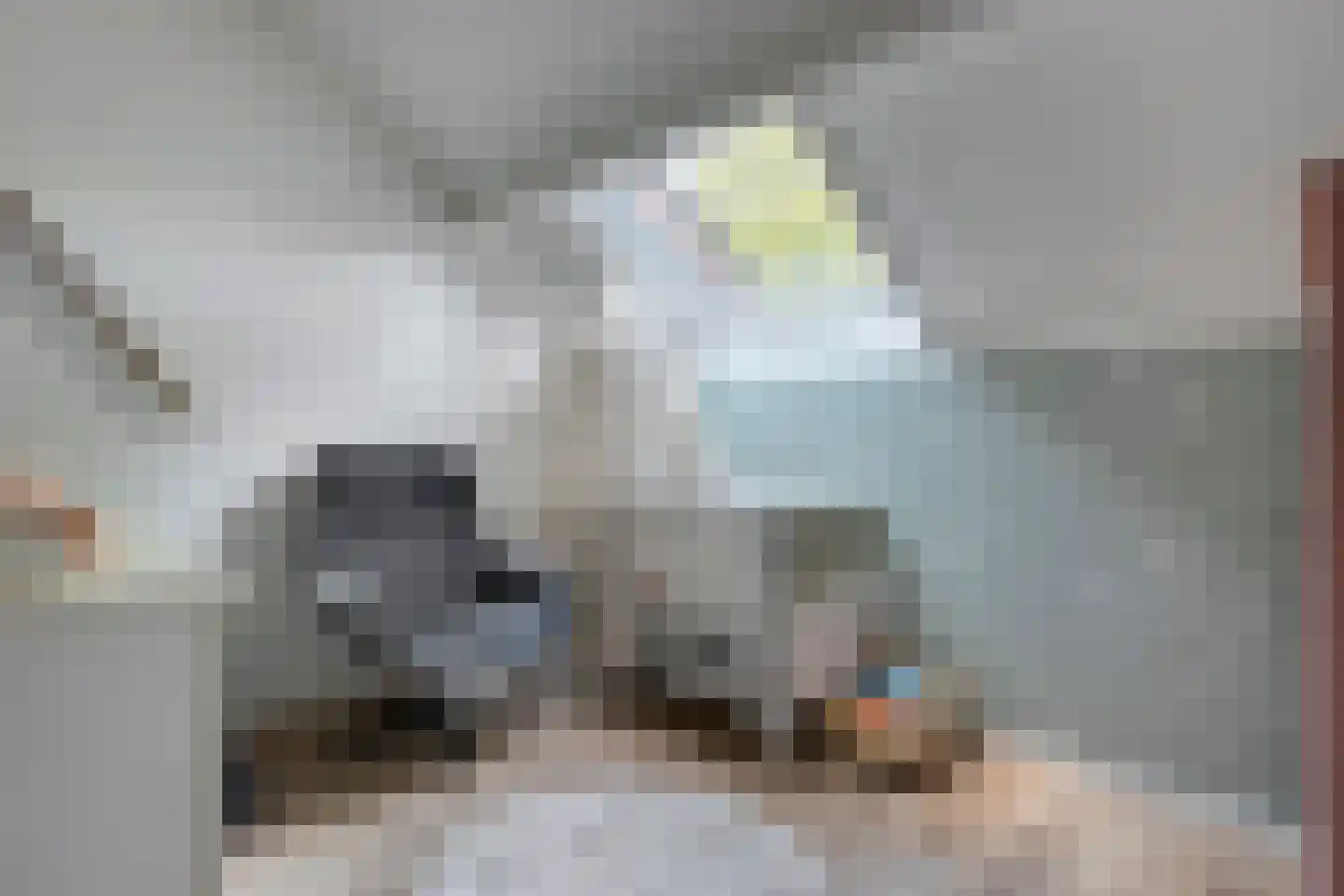Bevrijdingslaan 4 Meppel thumbnail 30
