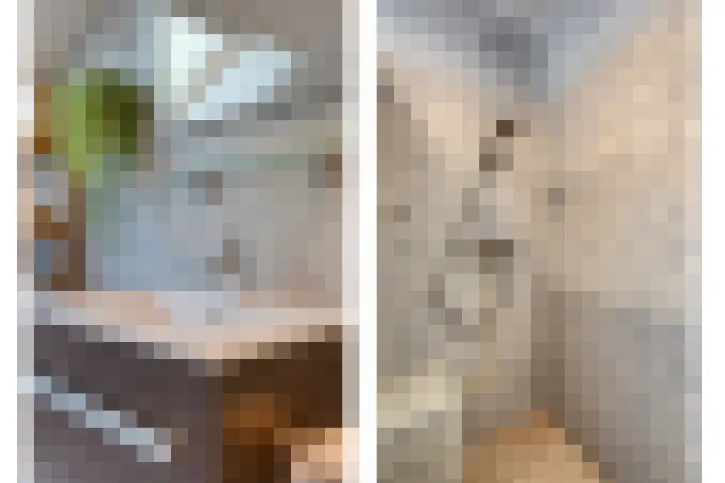 Bevrijdingslaan 4 Meppel thumbnail 33