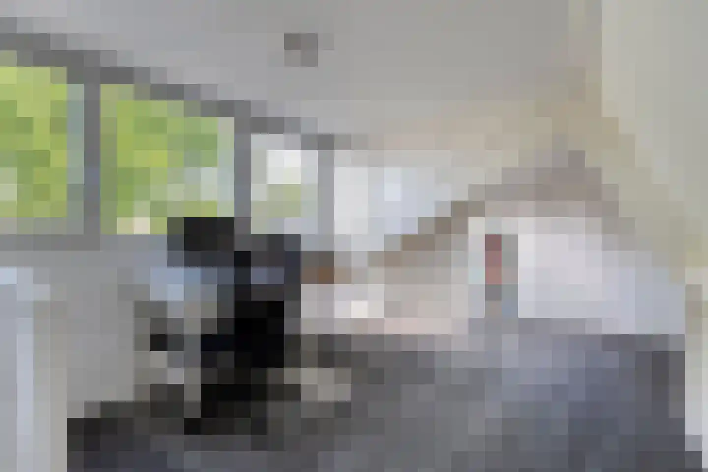 Bevrijdingslaan 4 Meppel thumbnail 36