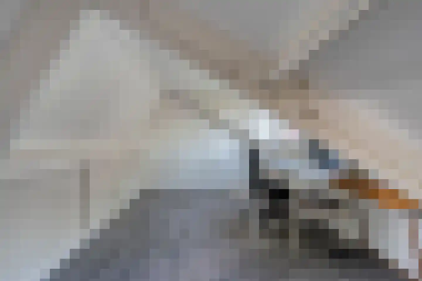 Bevrijdingslaan 4 Meppel thumbnail 37