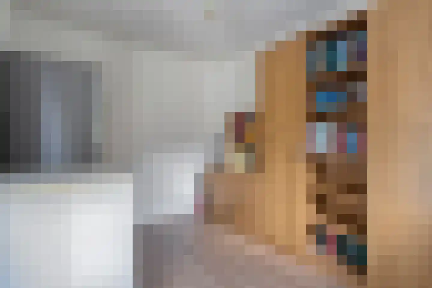Bevrijdingslaan 4 Meppel thumbnail 38