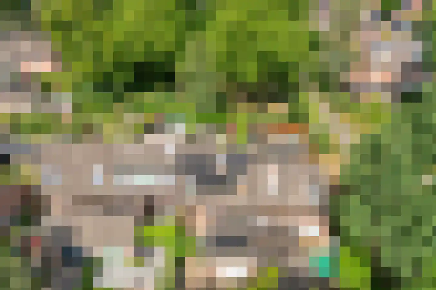 Bevrijdingslaan 4 Meppel thumbnail 4