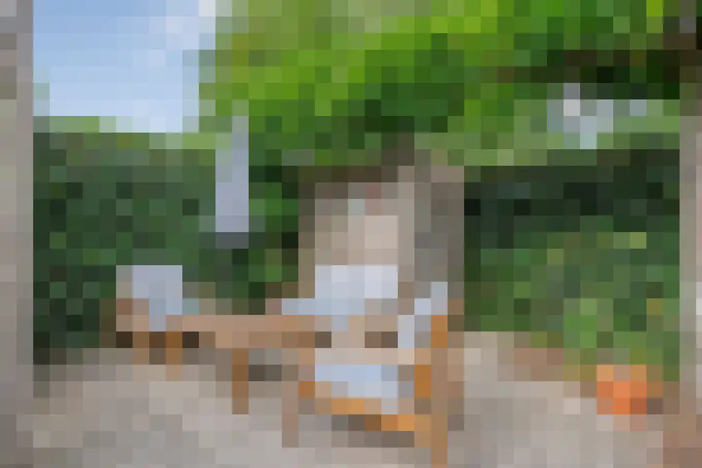 Bevrijdingslaan 4 Meppel thumbnail 43