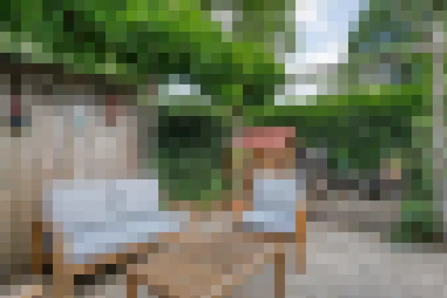 Bevrijdingslaan 4 Meppel thumbnail 44
