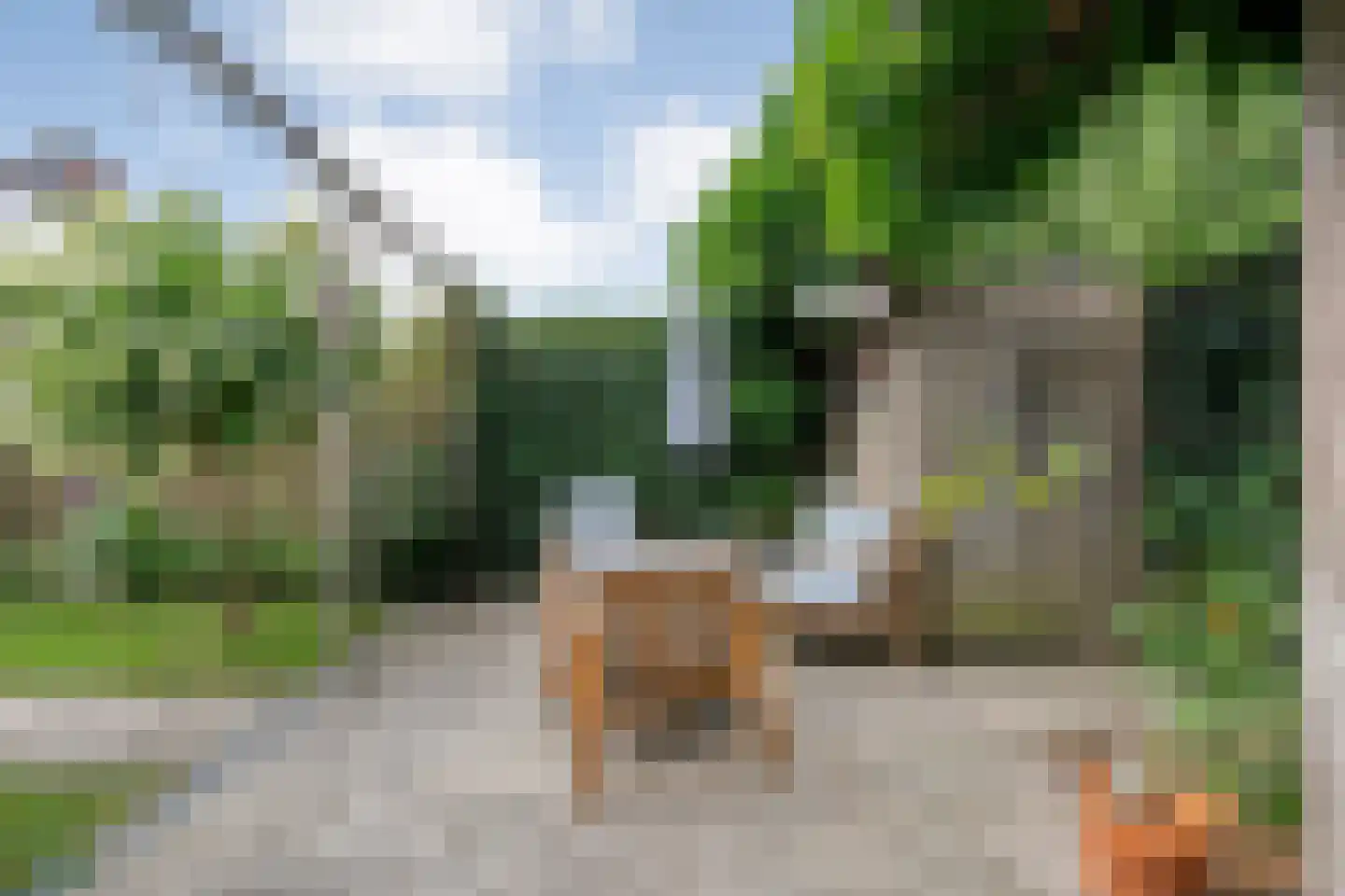 Bevrijdingslaan 4 Meppel thumbnail 45