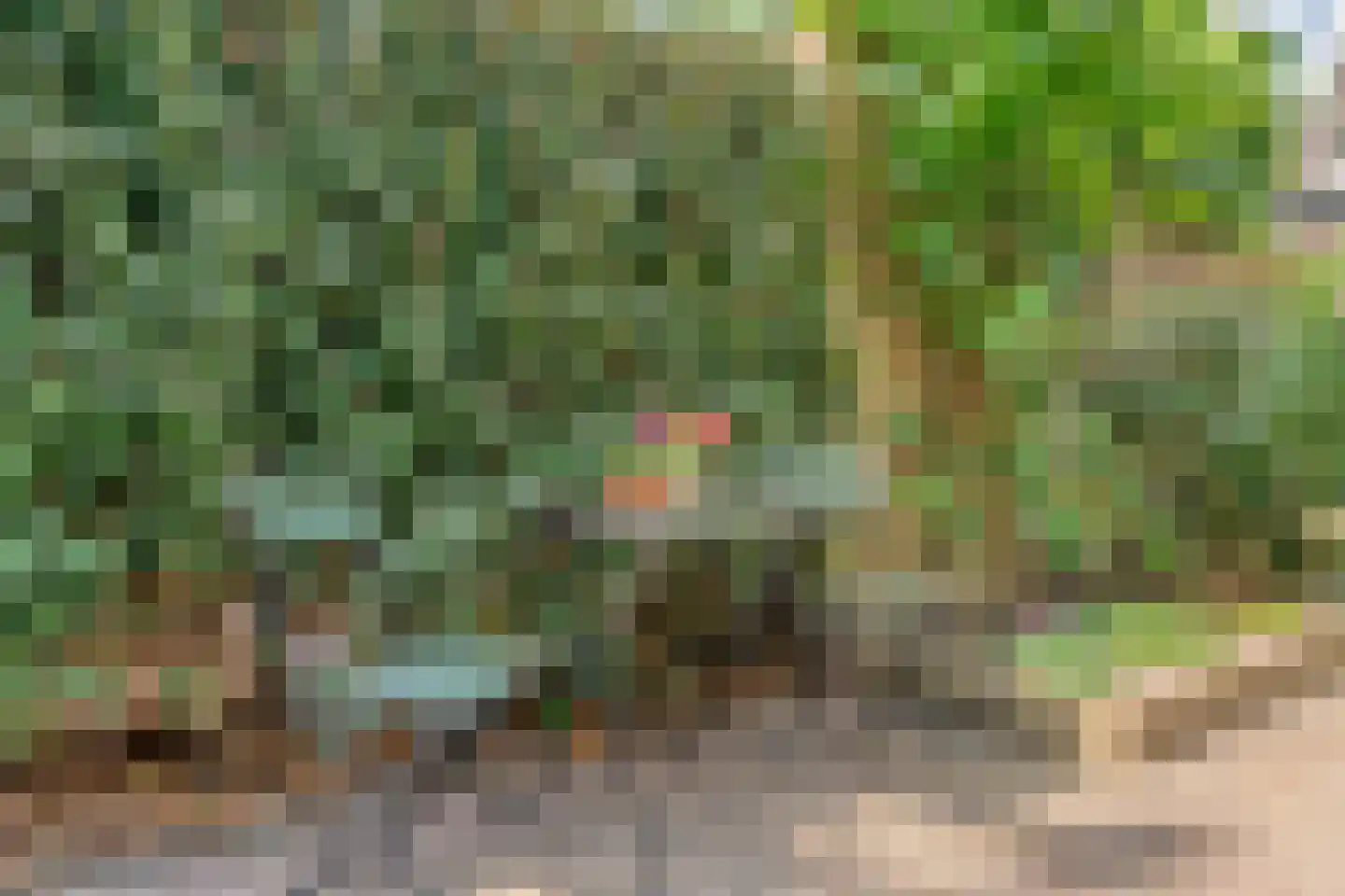 Bevrijdingslaan 4 Meppel thumbnail 48