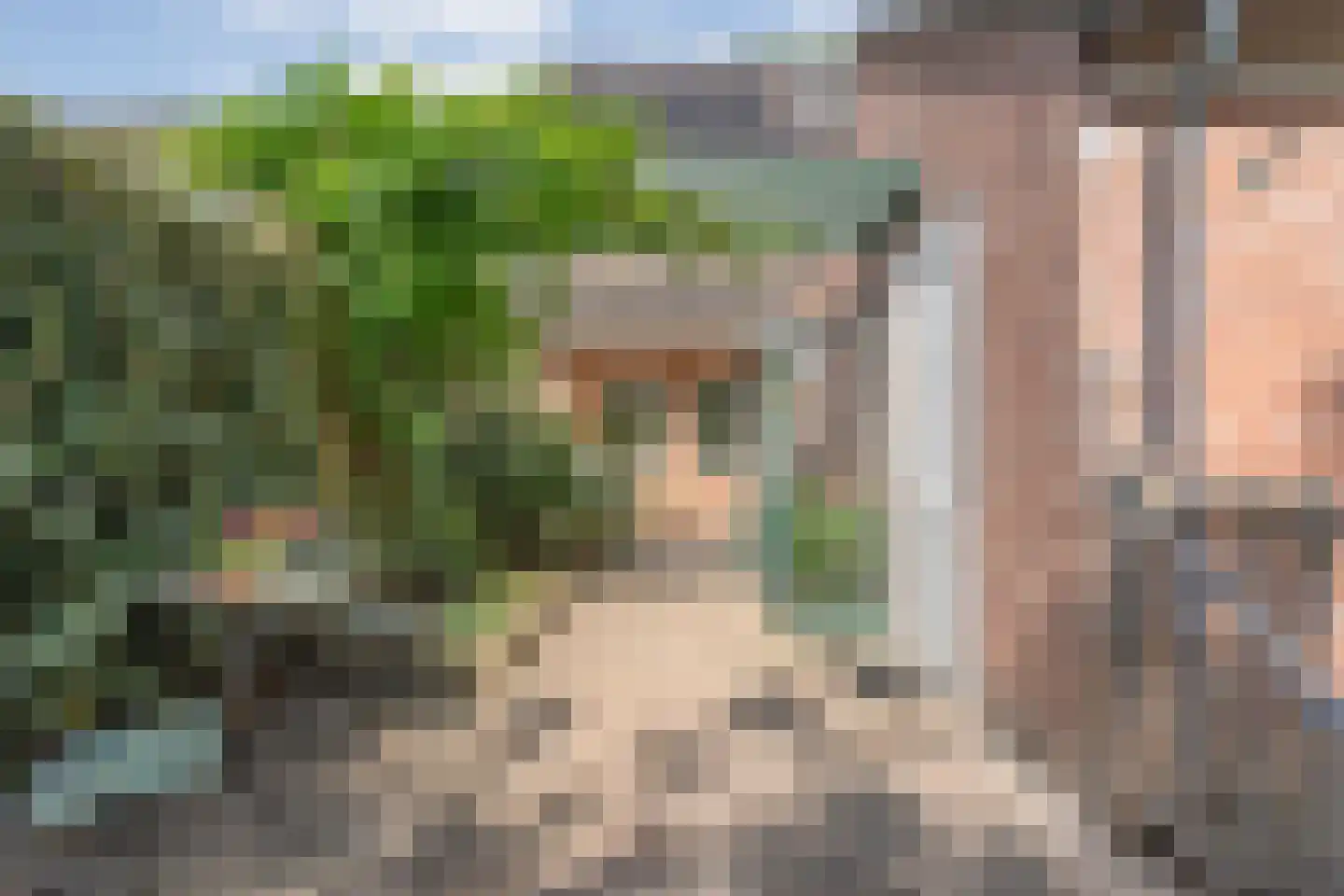 Bevrijdingslaan 4 Meppel thumbnail 50