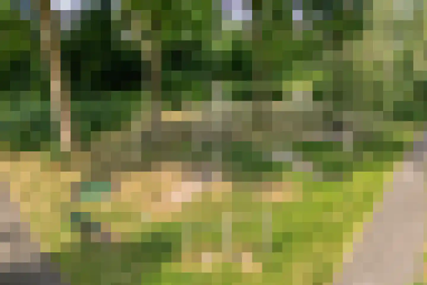 Bevrijdingslaan 4 Meppel thumbnail 51