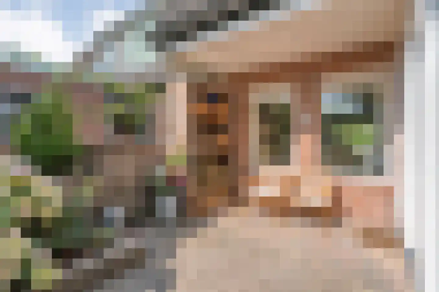 Bevrijdingslaan 4 Meppel thumbnail 6