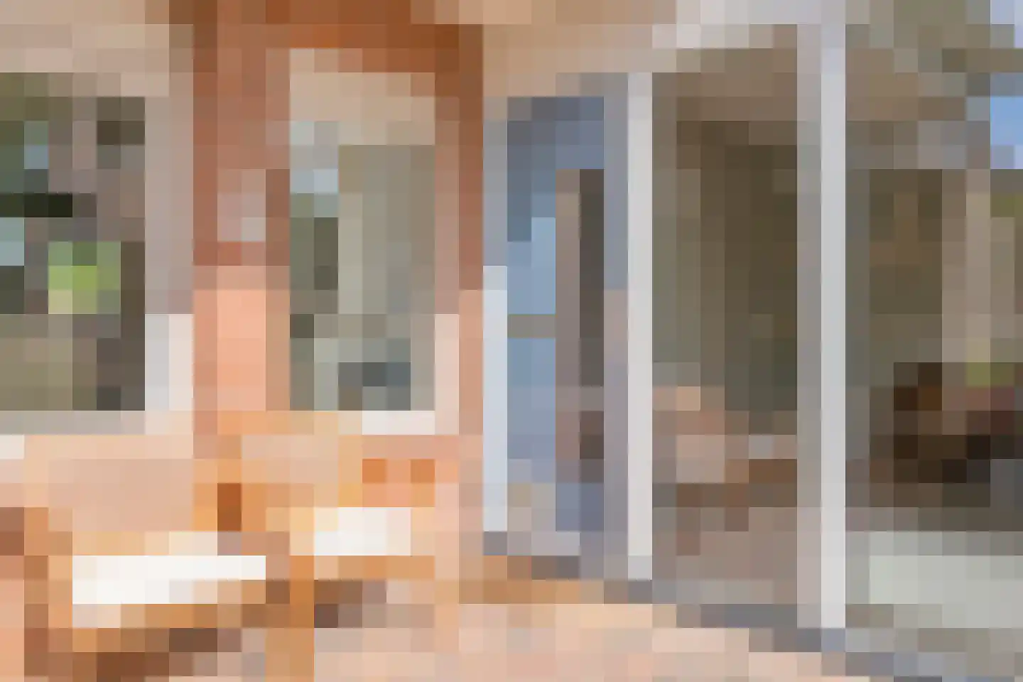 Bevrijdingslaan 4 Meppel thumbnail 8