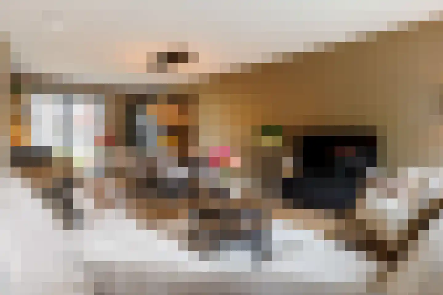 Bevrijdingslaan 4 Vriezenveen thumbnail 10