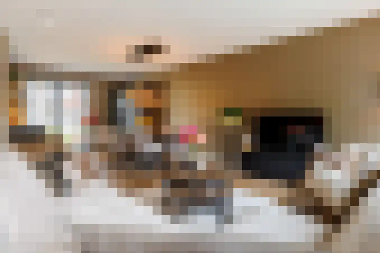 Bevrijdingslaan 4 Vriezenveen thumbnail 10