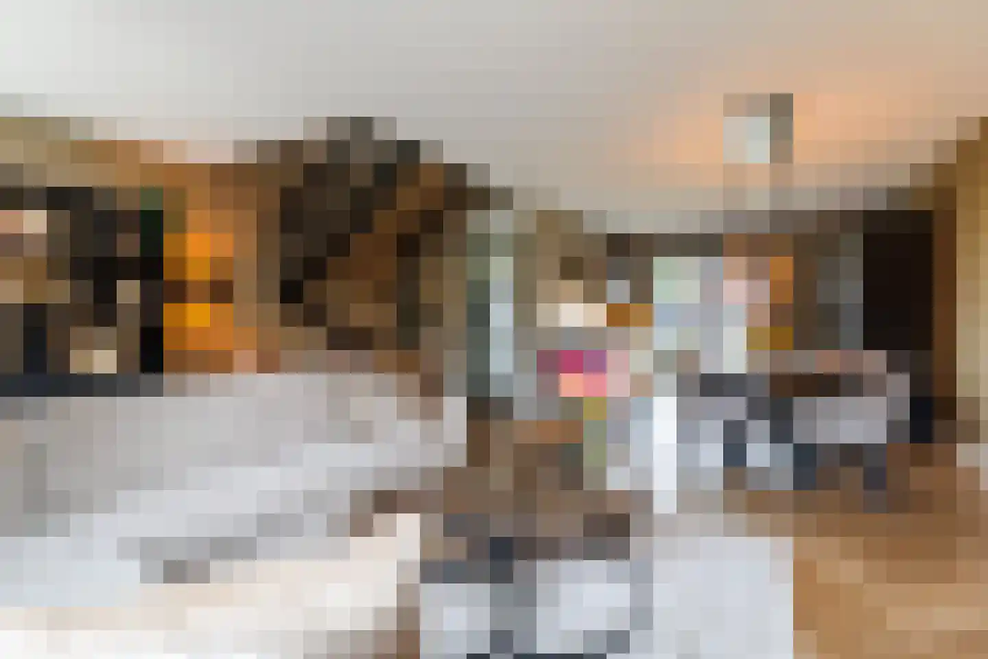Bevrijdingslaan 4 Vriezenveen thumbnail 11