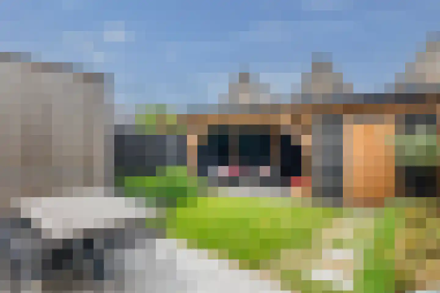 Bevrijdingslaan 4 Vriezenveen thumbnail 26