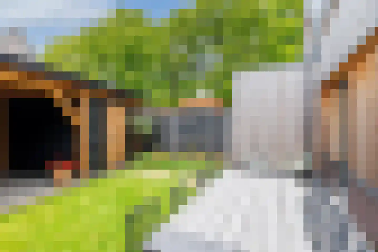 Bevrijdingslaan 4 Vriezenveen thumbnail 27