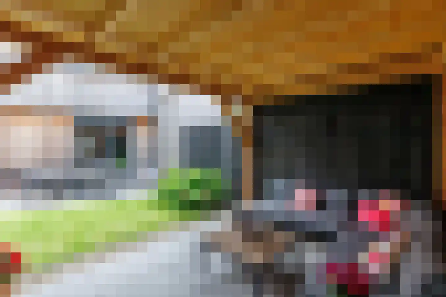 Bevrijdingslaan 4 Vriezenveen thumbnail 29