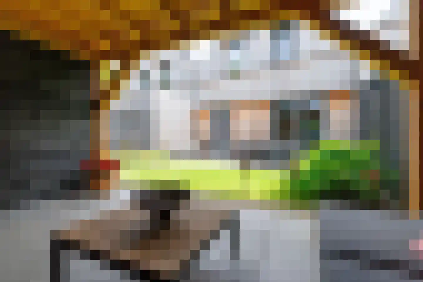 Bevrijdingslaan 4 Vriezenveen thumbnail 30