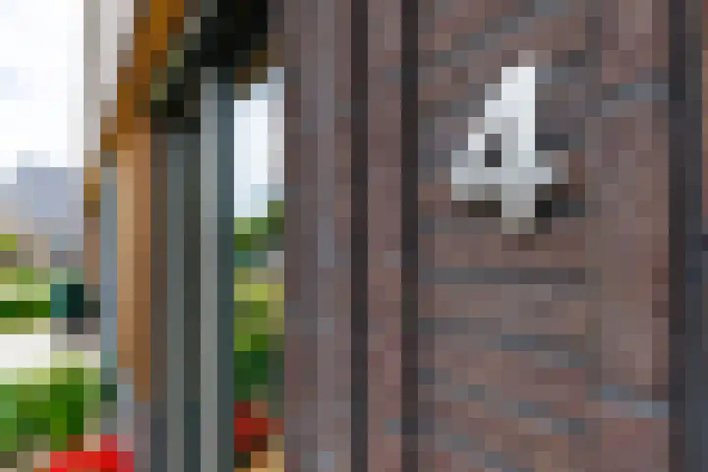 Bevrijdingslaan 4 Vriezenveen thumbnail 5