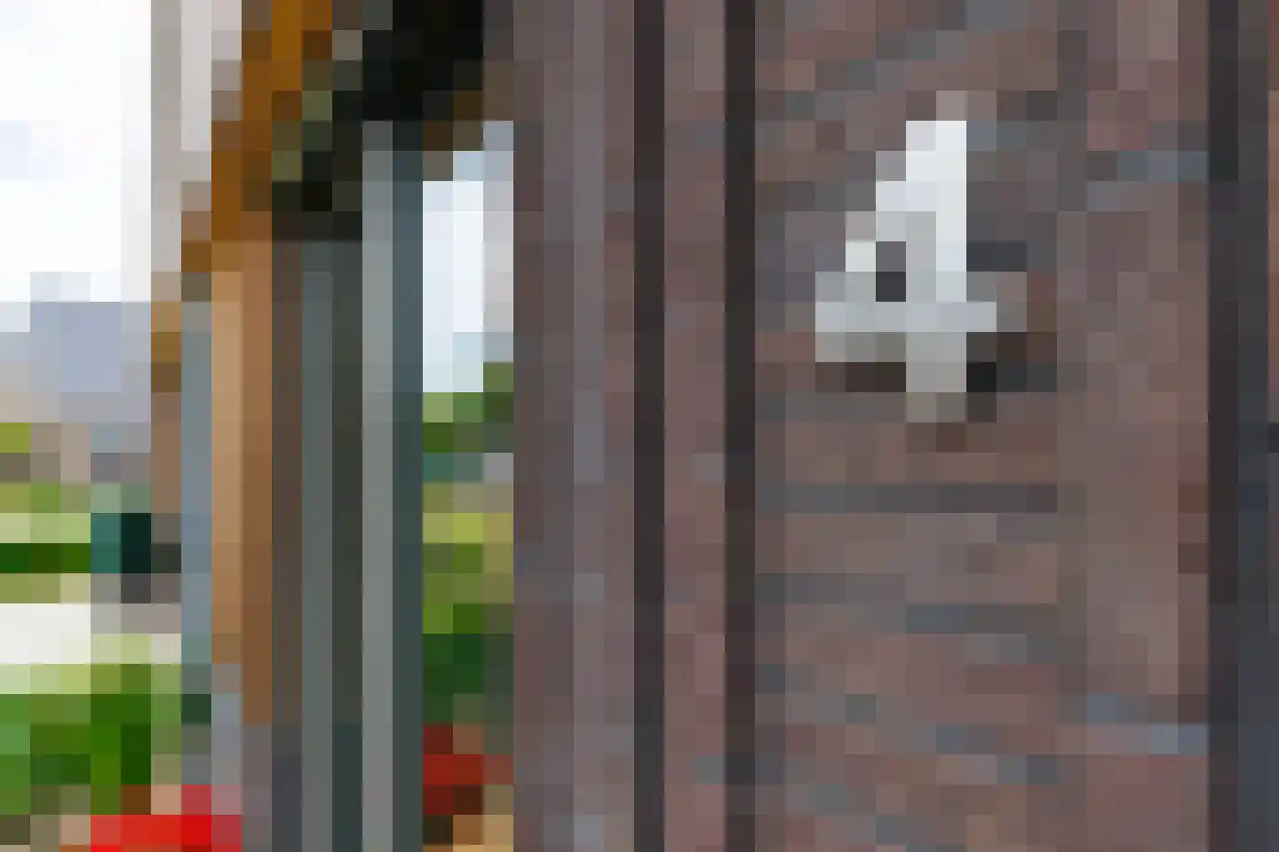 Bevrijdingslaan 4 Vriezenveen thumbnail 5