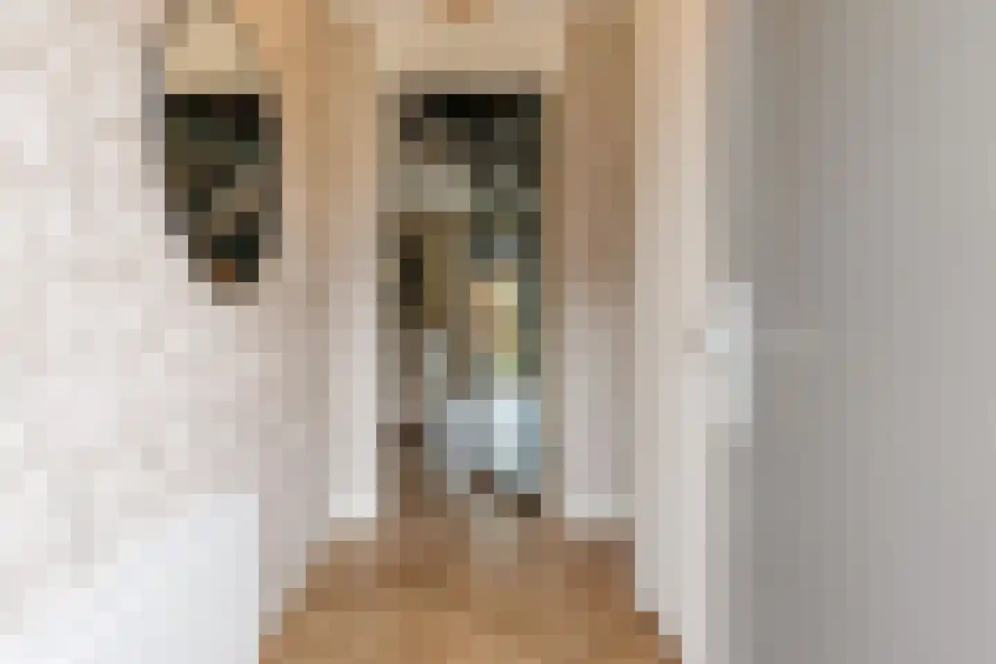 Bevrijdingslaan 4 Vriezenveen thumbnail 6