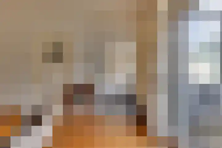 Bevrijdingslaan 69 Groenlo thumbnail 12