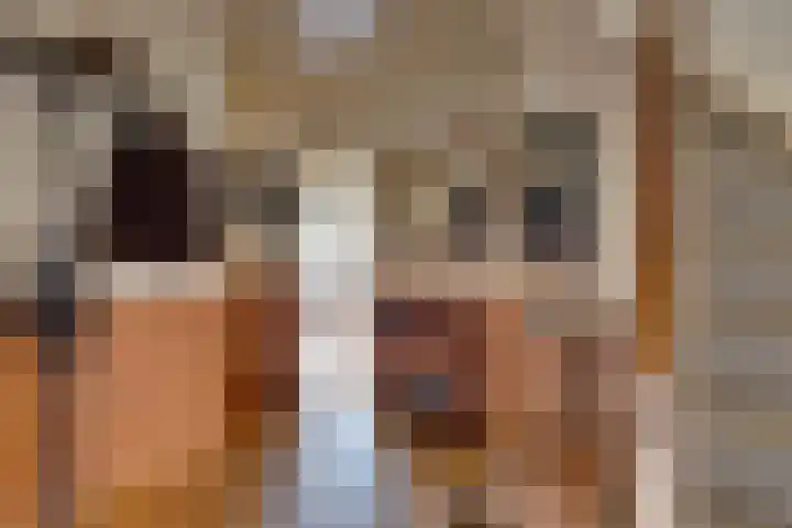 Bevrijdingslaan 69 Groenlo thumbnail 20
