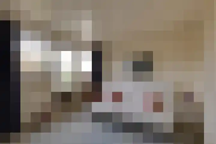 Bevrijdingslaan 69 Groenlo thumbnail 24