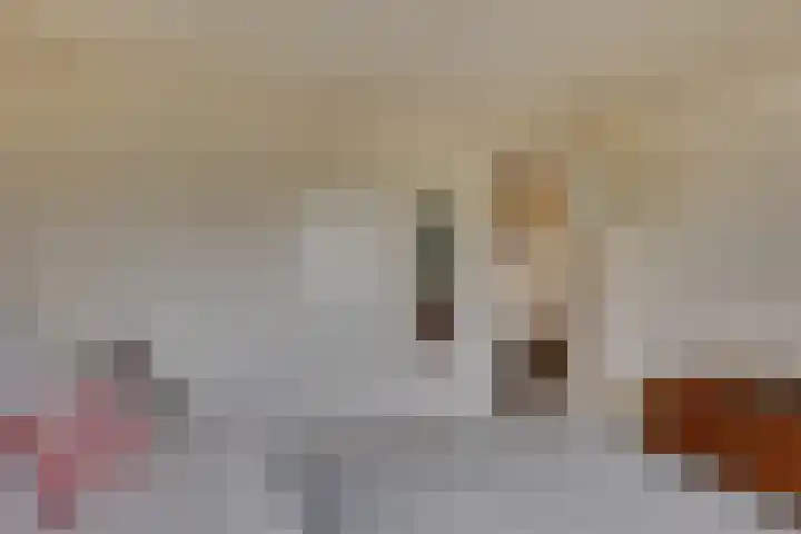 Bevrijdingslaan 69 Groenlo thumbnail 25