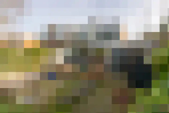 Bevrijdingslaan 69 Groenlo thumbnail 38