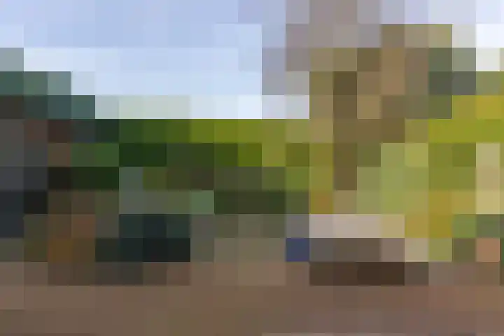 Bevrijdingslaan 69 Groenlo thumbnail 39